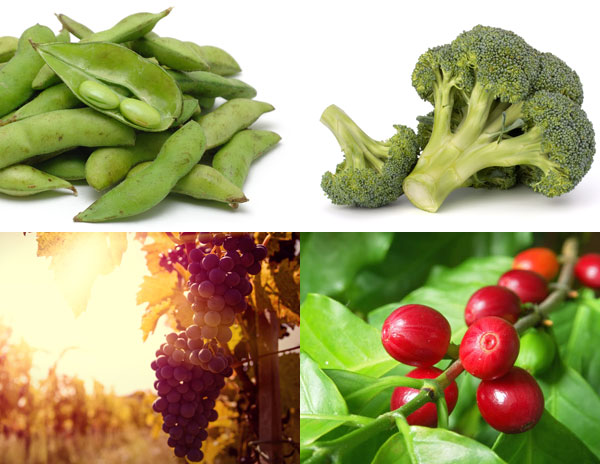 nutraceutici_funzionali_home alimenti funzionali e nutraceutici